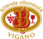 Vini Vigano